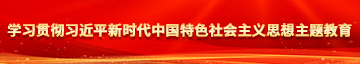 骚屄求操xxx学习贯彻习近平新时代中国特色社会主义思想主题教育